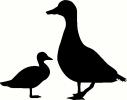 Bird (4) vinyl decal